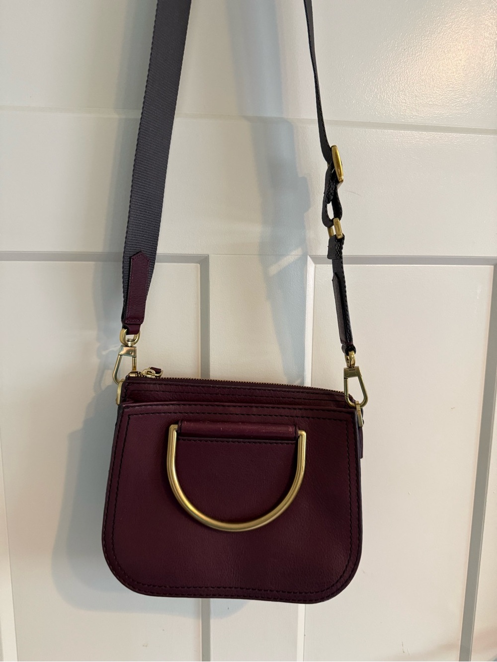 Fossil Crossbody Bag